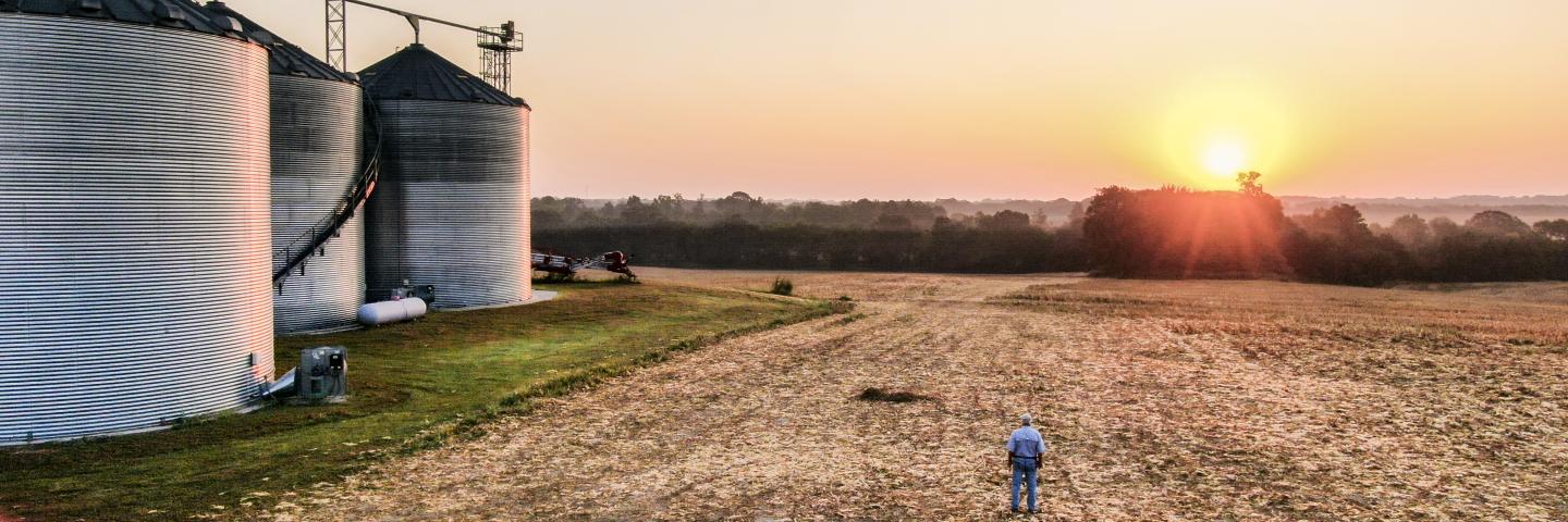 Norwood Farms owners and producers Don and son Grant Norwood work with U.S. Department of Agriculture (USDA) Farm Production and Conservation (FPAC) Natural Resources Conservation Service (NRCS) District Conservationist Ron Harrison to implement their crop rotation and residue management practices to reduce erosion leading to improved land use and crop production; they also practice no-till farming on nearly every acre in the operation, in Henry County, TN, on Sept 19, 2019.
The stover of remaining corn