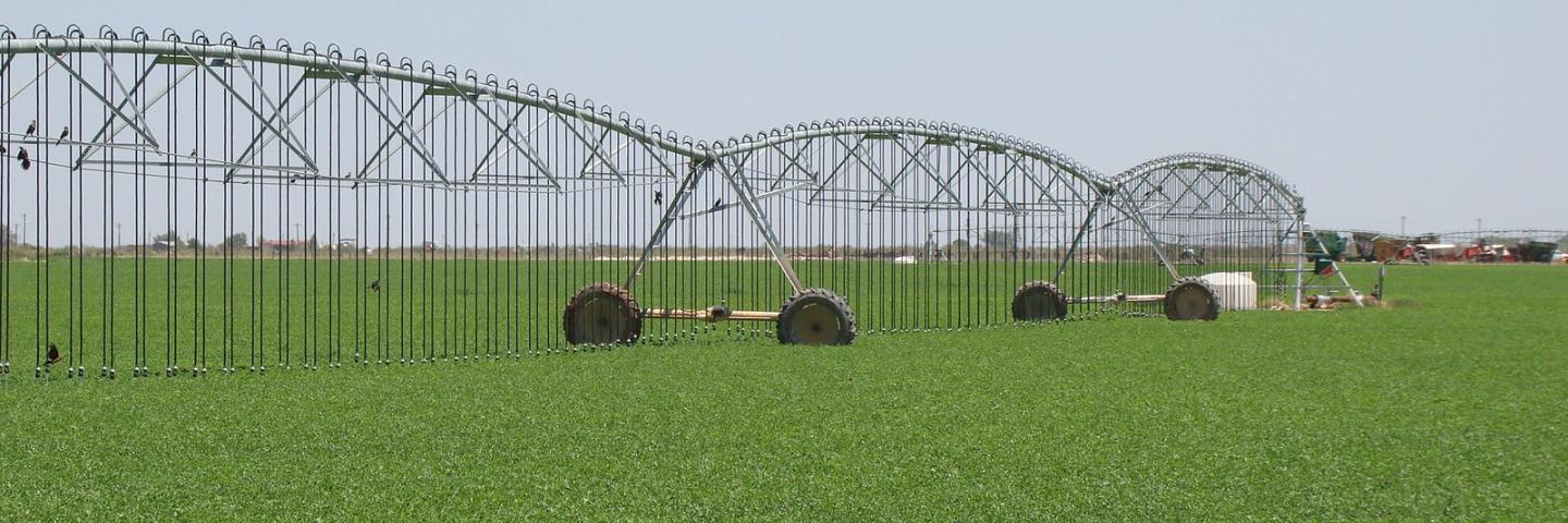 Low Elevation Spray Application (LESA) and Low Energy Precision Application (LEPA) systems are being used on the Gonzales’ alfalfa field in Lovington, NM on July 30, 2012. The U.S. Department of Agriculture (USDA) Natural Resources Conservation Service (NRCS) Environmental Quality Incentives Program (EQIP) provided assistance to the Gonzales brothers to enable them to replace their antiquated and inefficient pivot systems with the LESA system.