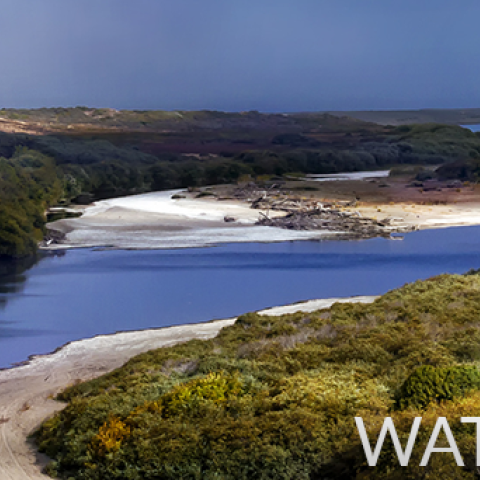 watershed programs