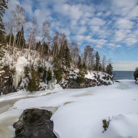 Scenic view of trees alone shoreline.