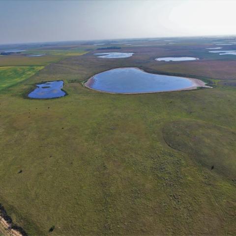 Aerial view of wetlands in northeastern South Dakota.