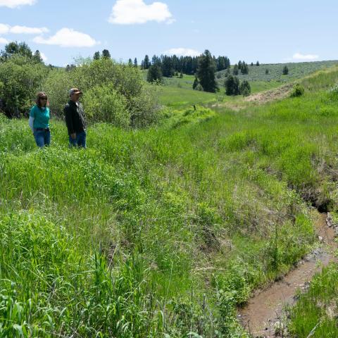 NRCS employee and landowner look at riparian area and forested hills on a large ranch.