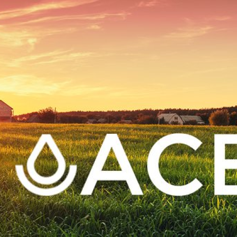 ACEP Graphic