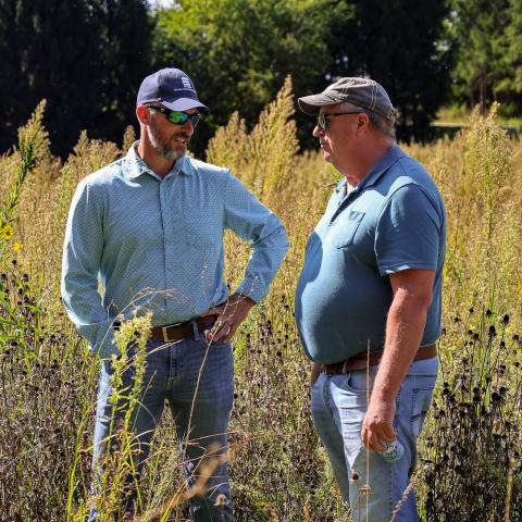 Two men talking in a prairie planting.