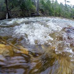 water