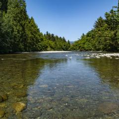 water river stream