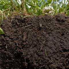soil health
