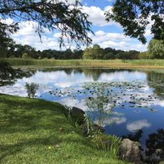 watershed water lake shore