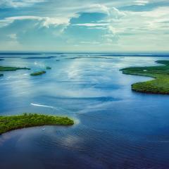 Caloosahatchee River Tributary