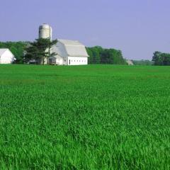 Agricultural operation in Delaware 
