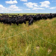 Hayden Ranch, Fallon County, Montana