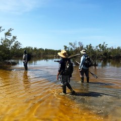 Caribbean Soils team conducts acid sulfate soil sampling in Ponce, Puerto Rico, on 21 September 2020.