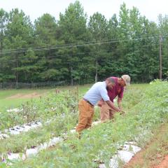 Randall Wordlaw, NRCS District Conservationist, Alabama, and Gene Thornton, Certified Organic Farmer, Sneaky Crow Farm, GA 