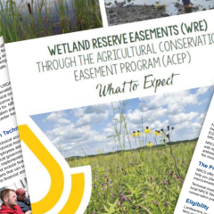 Collage of Wisconsin specific publications and fact sheets