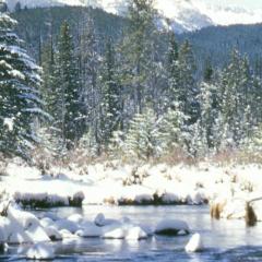 Image of a lake in the forest with snow