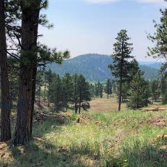 Top mountain with pine trees; some have been cut down