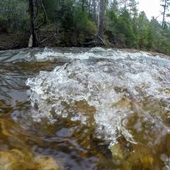 Water in a stream with woodlands in the background.