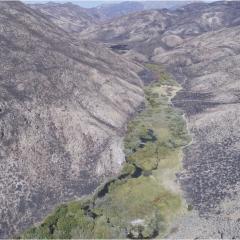 Intermountain Riparian Area