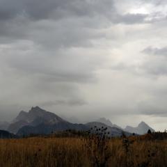 
Turbo fladry installed on Walton Ranch in Jackson Hole, Wyoming, Thursday, Sept. 29, 2016. Fladry is one of the nonlethal tools that U.S. Department of Agriculture (USDA), Animal Plant Health Inspection Service (APHIS) Wildlife Services employees use to prevent livestock depredation. USDA photo by Pamela Manns.
