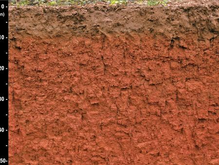 Cecil soil profile