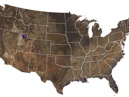 Map of soil colors at 5 cm depth of the lower 48 United States.