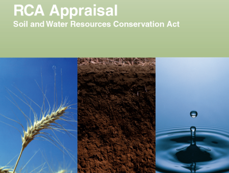 RCA Appraisal 2011