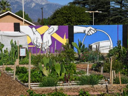 "Wall panels with artwork titled "Manos a la obra" (Hands at work) by Manone line one side of the Community garden plots are just half of the Huerta del Valle (HdV) 4-Acre organic Community Supported Garden and Farm in the middle of a low-income urban community, where Co-Founder and Executive Director Maria Alonso and U.S. Department of Agriculture (USDA) Natural Resources Conservation Service (NRCS) Redlands District Conservationist Tomas Aguilar-Campos work closely as she continues to impr
