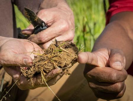 Patrick Bittner (left), a farmer in Evansville Indiana, checks the soil in his field along with Keith Williams, Indiana NRCS planning team leader, prior to planting corn on May 13, 2021. Bittner is a no-till farmer and directly plants his corn seed into his cover crops. The cover crops are made of a diverse 12 seed mix including Cereal rye, triticale, annual rye, rape, black oats, Balansa Fixation clover, Kentucky Pride Crimson, Hairy Vetch, Australian winter peas, Red clover, turnips and winter barley. (In