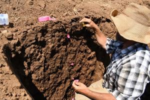 Graduate student describing soils profile