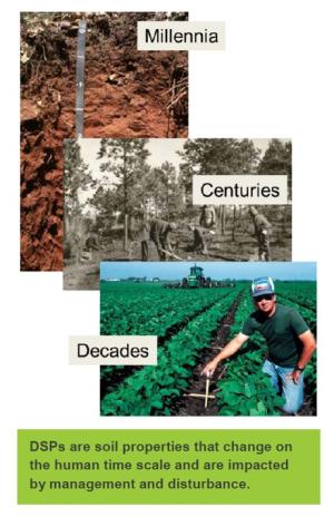 DSPs are soil properties that change on the human time scale.