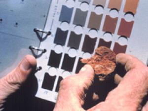 Soil scientist comparing soil to a color book.