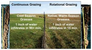 Photos showing continuous grazing versus rotational grazing.