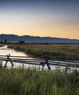 water irrigation landscape