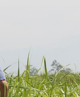 Conservation Innovation Grants