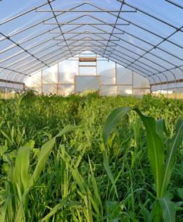 Seasonal High Tunnel
