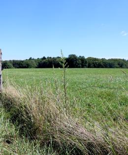 A field with a fence