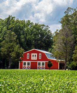Barn in a field