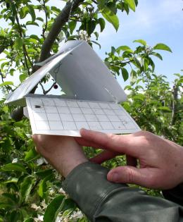Integrated pest management