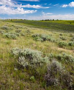 Woodford Ranch in Garfield County, Montana