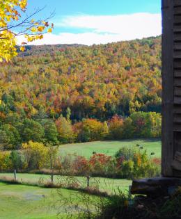 Farm and Field in Maine