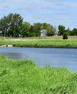 Pond surrounded by lush green grass in rural Iowa