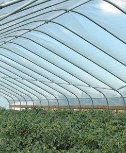 Seasonal high tunnel in Warren County, Iowa.