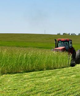 An Iowa farmer roller crimps cereal rye while planting soybeans on organic acres.