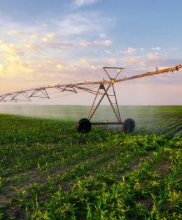 Watering Crops