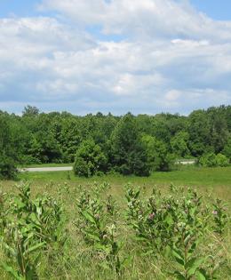 ACEP Easement Header