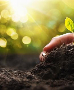 Hand holding soil