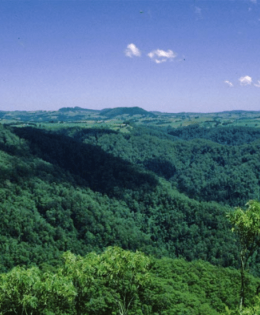 Healthy Forests Reserve Program