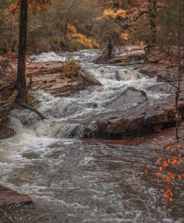 lake bennett water