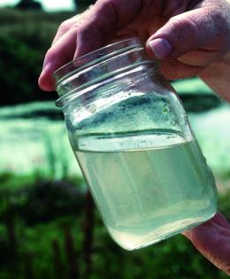 Water Quality
