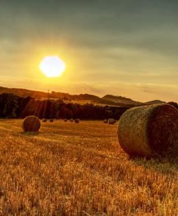 Straw, hay bale, sunset